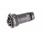 Apparatuuraansluiting voor insteekbare gebouwinstallatie Wieland RST50i5S S1 ZR5 S SW Apparatuuraansluiting voor insteekbare gebouwinstallatie Wieland RST50i5S S1 ZR5 S SW